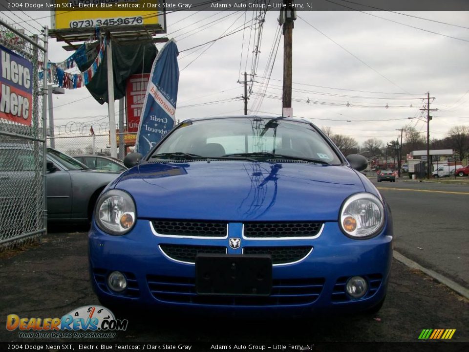 2004 Dodge Neon SXT Electric Blue Pearlcoat / Dark Slate Gray Photo #4