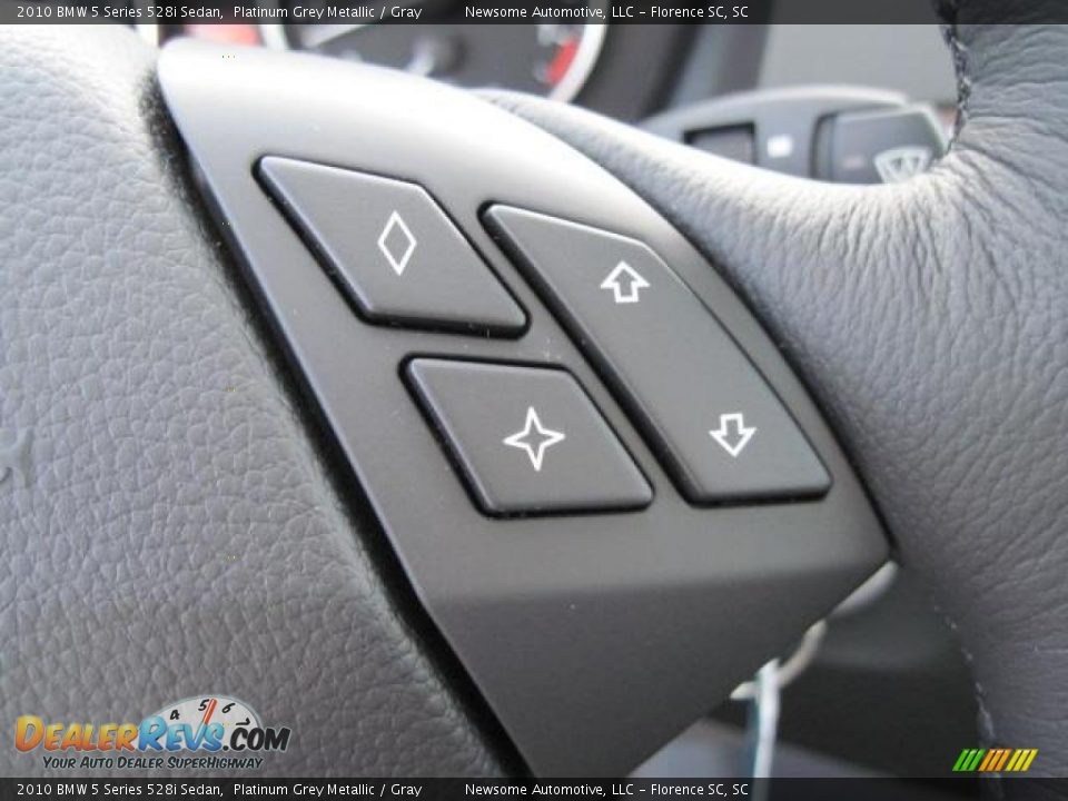 2010 BMW 5 Series 528i Sedan Platinum Grey Metallic / Gray Photo #8