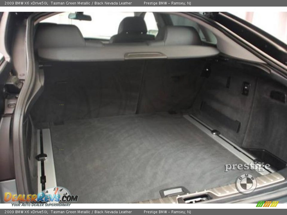2009 BMW X6 xDrive50i Tasman Green Metallic / Black Nevada Leather Photo #4