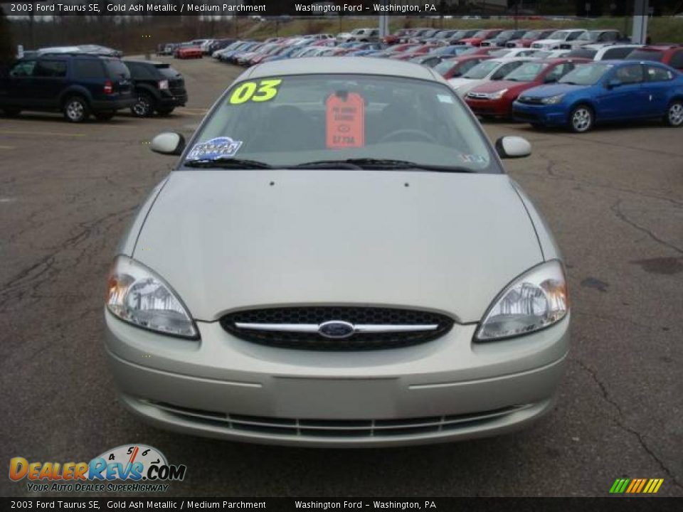 2003 Ford Taurus SE Gold Ash Metallic / Medium Parchment Photo #10