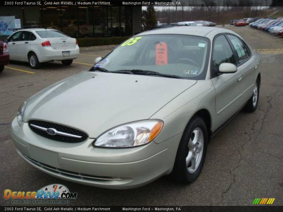 2003 Ford Taurus SE Gold Ash Metallic / Medium Parchment Photo #11