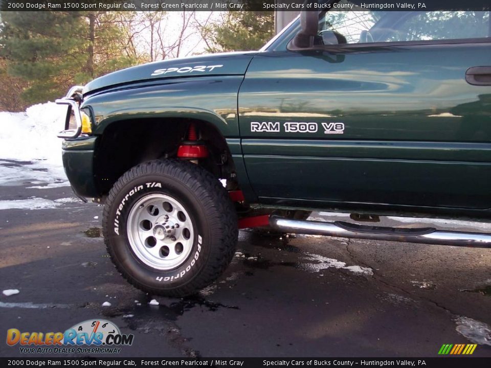 2000 Dodge Ram 1500 Sport Regular Cab Forest Green Pearlcoat / Mist Gray Photo #10