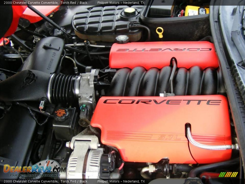 2000 Chevrolet Corvette Convertible Torch Red / Black Photo #26