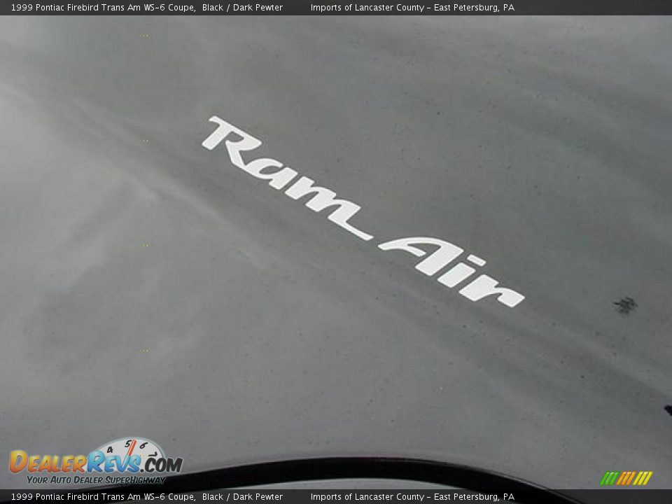 1999 Pontiac Firebird Trans Am WS-6 Coupe Logo Photo #17
