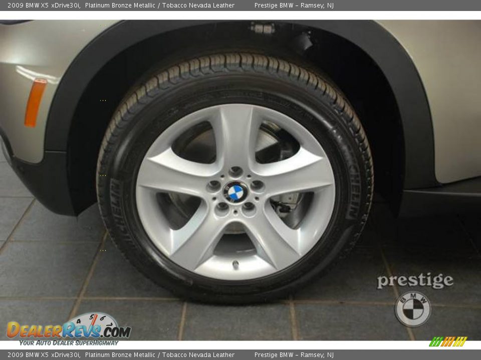2009 BMW X5 xDrive30i Platinum Bronze Metallic / Tobacco Nevada Leather Photo #8