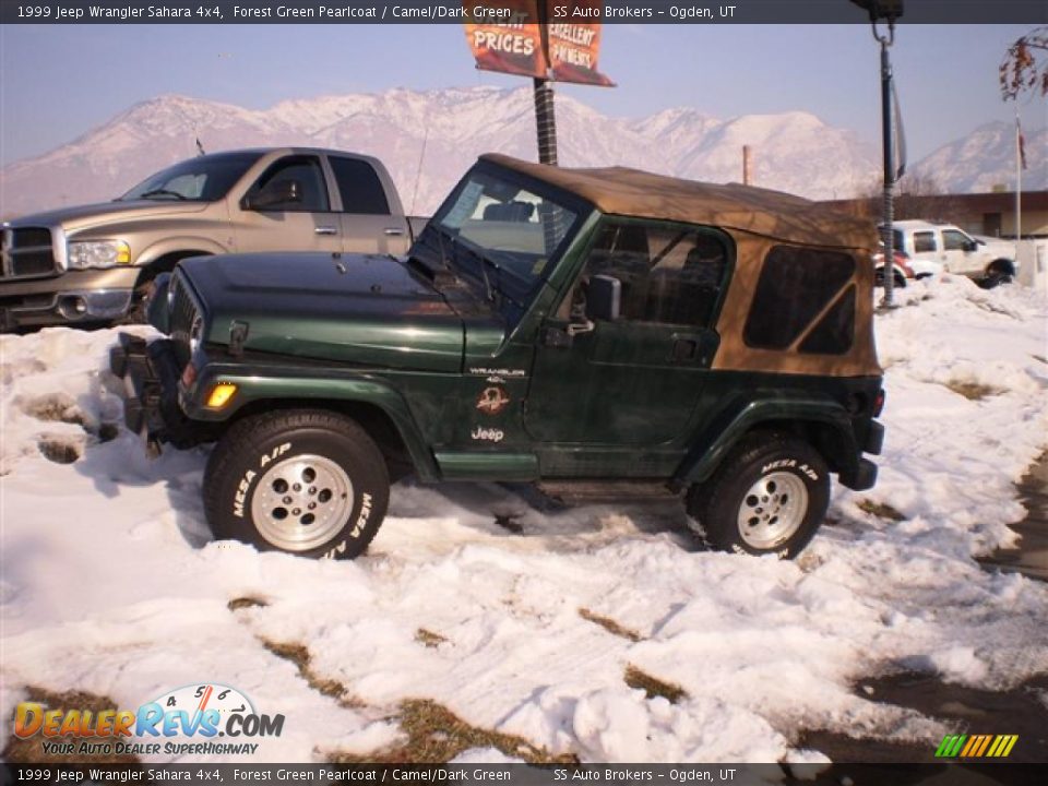1999 Jeep Wrangler Sahara 4x4 Forest Green Pearlcoat / Camel/Dark Green Photo #1