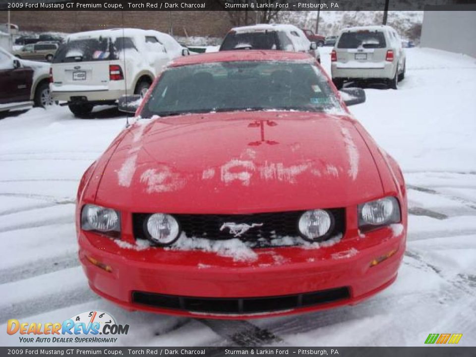 2009 Ford Mustang GT Premium Coupe Torch Red / Dark Charcoal Photo #8