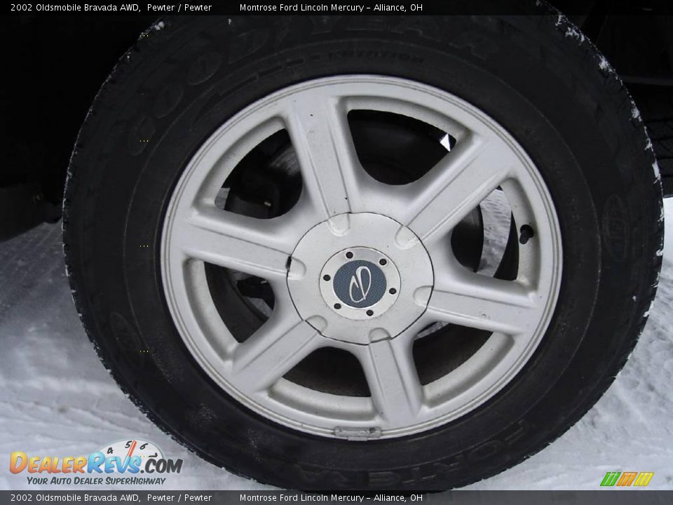 2002 Oldsmobile Bravada AWD Pewter / Pewter Photo #11