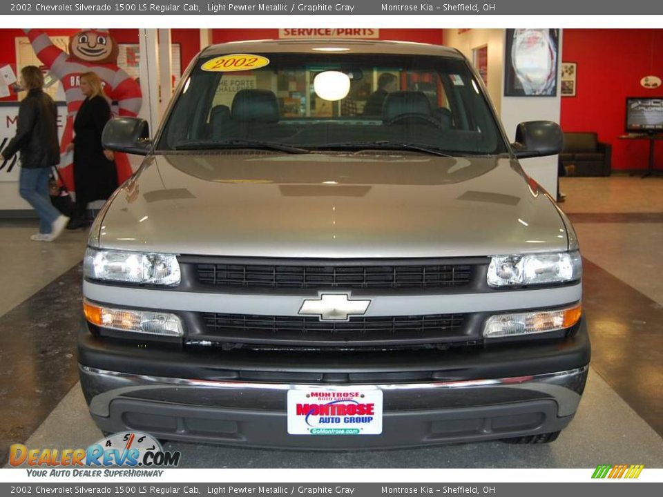 2002 Chevrolet Silverado 1500 LS Regular Cab Light Pewter Metallic / Graphite Gray Photo #11