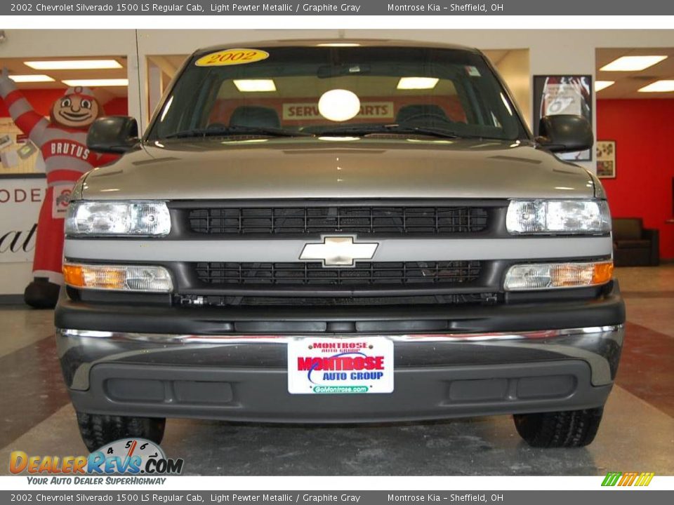 2002 Chevrolet Silverado 1500 LS Regular Cab Light Pewter Metallic / Graphite Gray Photo #12
