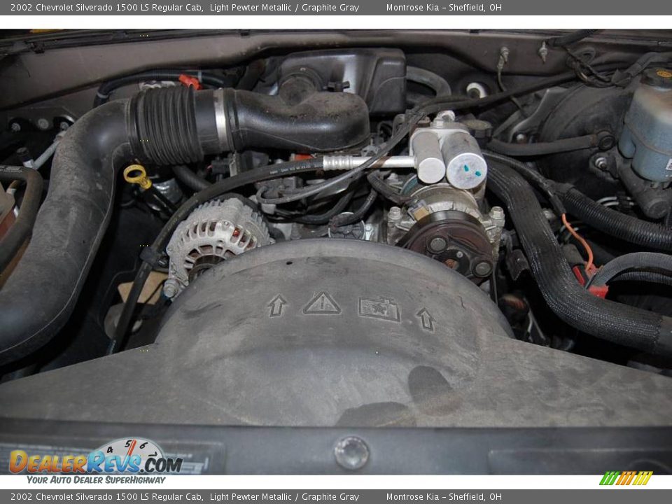 2002 Chevrolet Silverado 1500 LS Regular Cab Light Pewter Metallic / Graphite Gray Photo #17