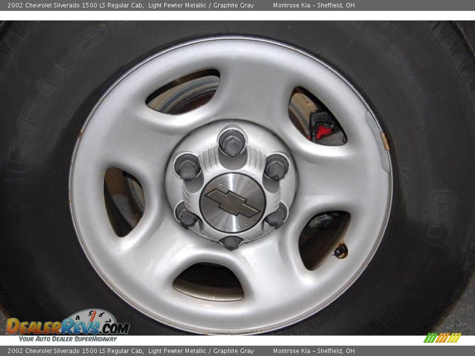 2002 Chevrolet Silverado 1500 LS Regular Cab Light Pewter Metallic / Graphite Gray Photo #20
