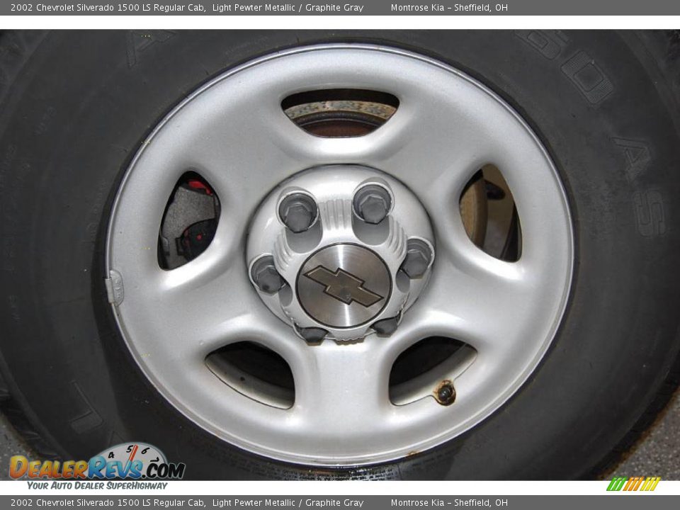 2002 Chevrolet Silverado 1500 LS Regular Cab Light Pewter Metallic / Graphite Gray Photo #21