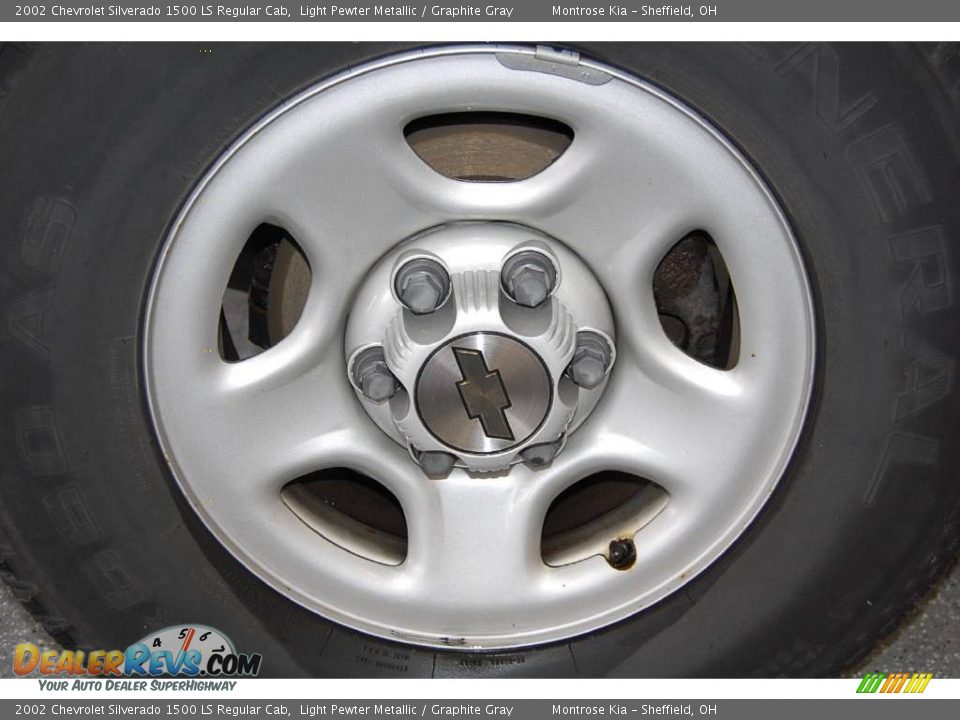 2002 Chevrolet Silverado 1500 LS Regular Cab Light Pewter Metallic / Graphite Gray Photo #22