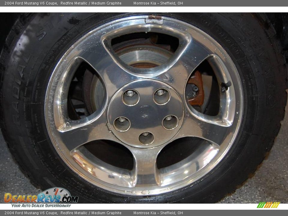 2004 Ford Mustang V6 Coupe Redfire Metallic / Medium Graphite Photo #28