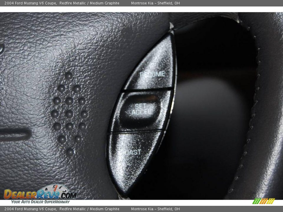 2004 Ford Mustang V6 Coupe Redfire Metallic / Medium Graphite Photo #31
