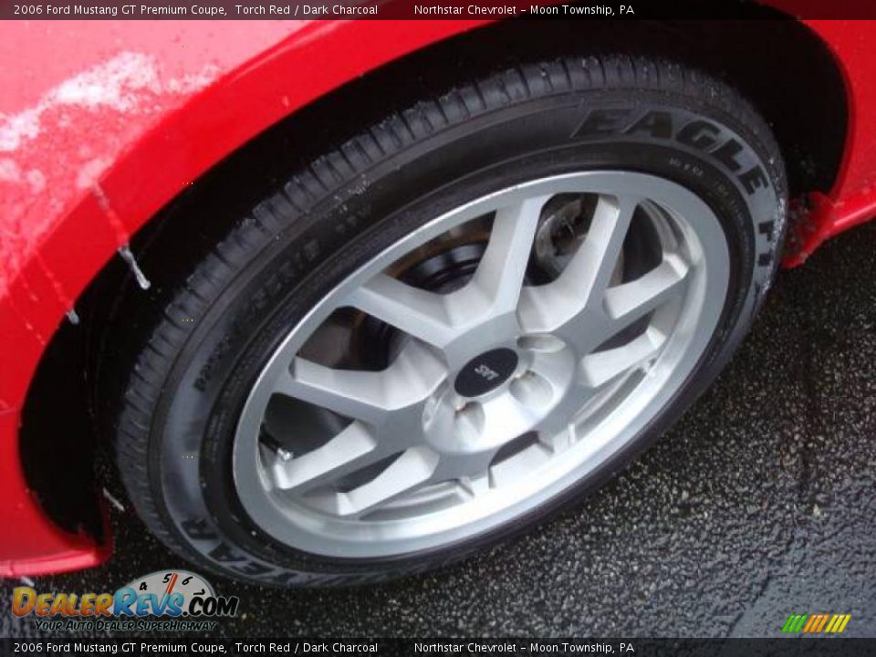 2006 Ford Mustang GT Premium Coupe Torch Red / Dark Charcoal Photo #9