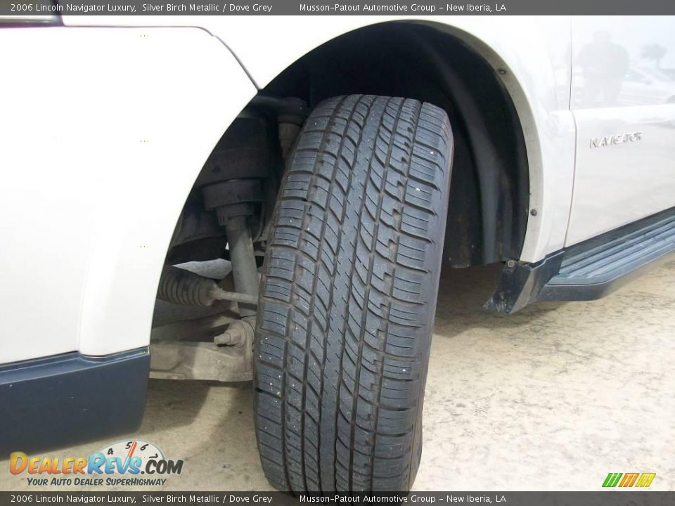 2006 Lincoln Navigator Luxury Silver Birch Metallic / Dove Grey Photo #14