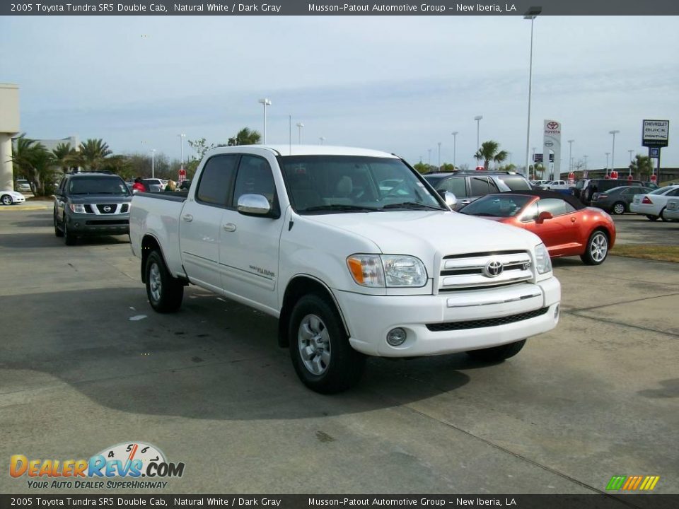 2005 Toyota Tundra SR5 Double Cab Natural White / Dark Gray Photo #7