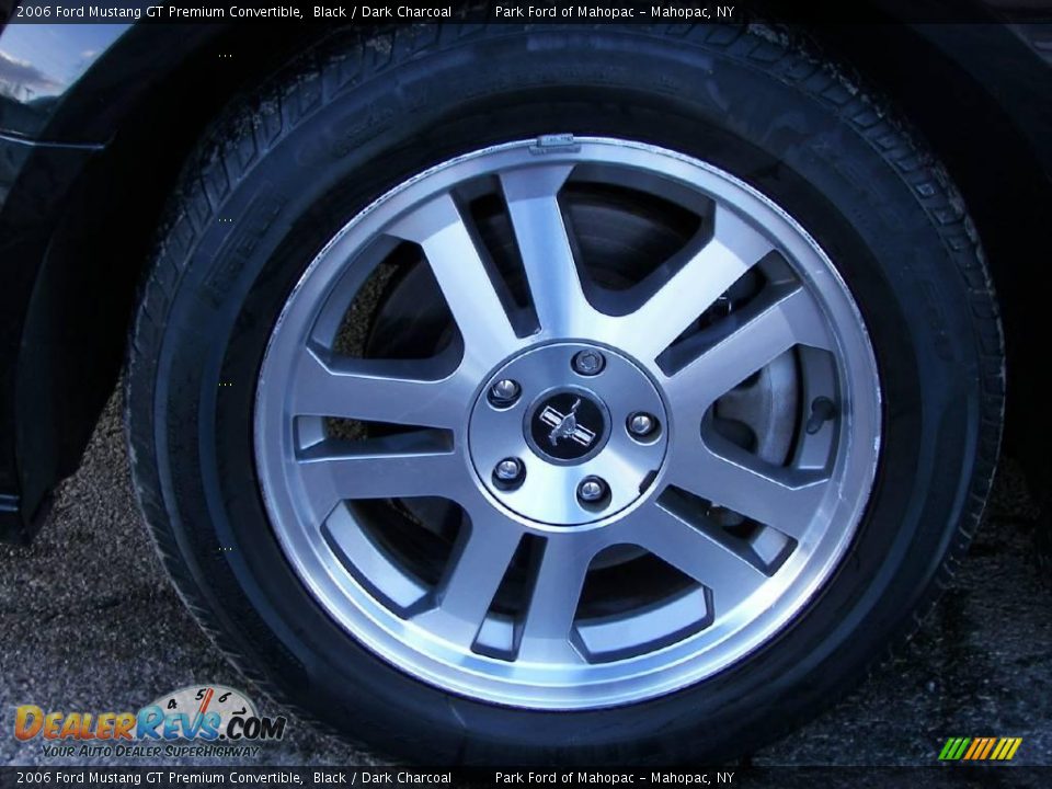 2006 Ford Mustang GT Premium Convertible Black / Dark Charcoal Photo #9