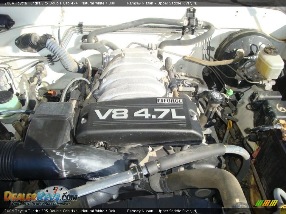 2004 Toyota Tundra SR5 Double Cab 4x4 Natural White / Oak Photo #29
