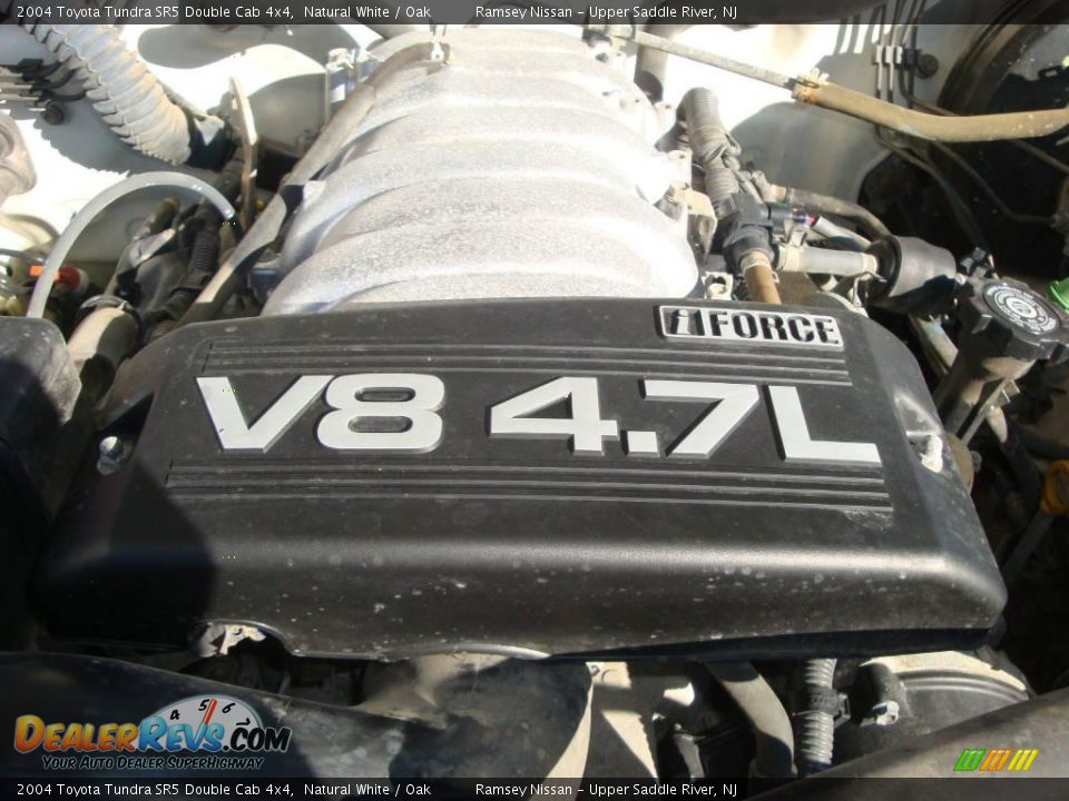 2004 Toyota Tundra SR5 Double Cab 4x4 Natural White / Oak Photo #30