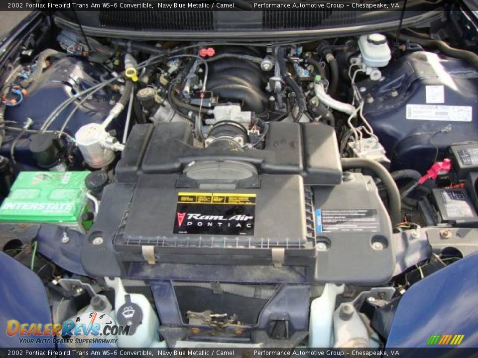 2002 Pontiac Firebird Trans Am WS-6 Convertible Navy Blue Metallic / Camel Photo #24