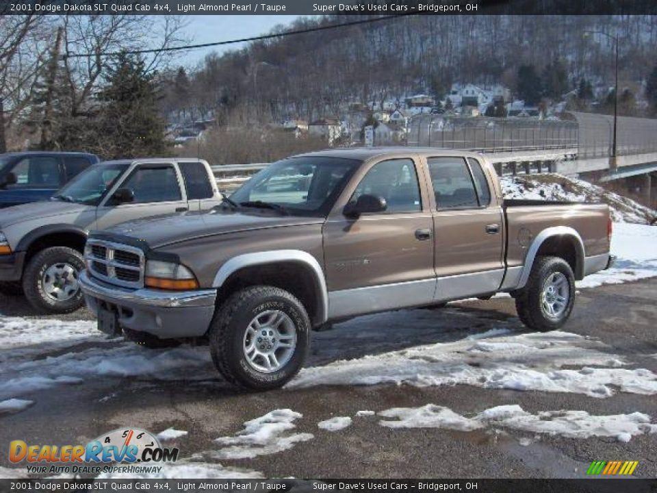 2001 Dodge Dakota SLT Quad Cab 4x4 Light Almond Pearl / Taupe Photo #1