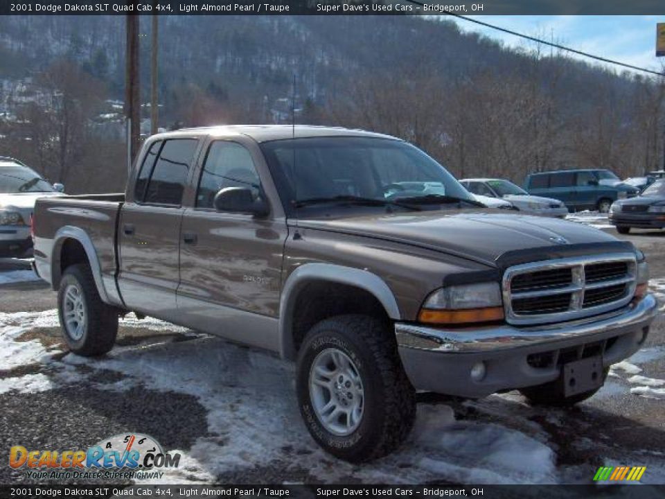 2001 Dodge Dakota SLT Quad Cab 4x4 Light Almond Pearl / Taupe Photo #6