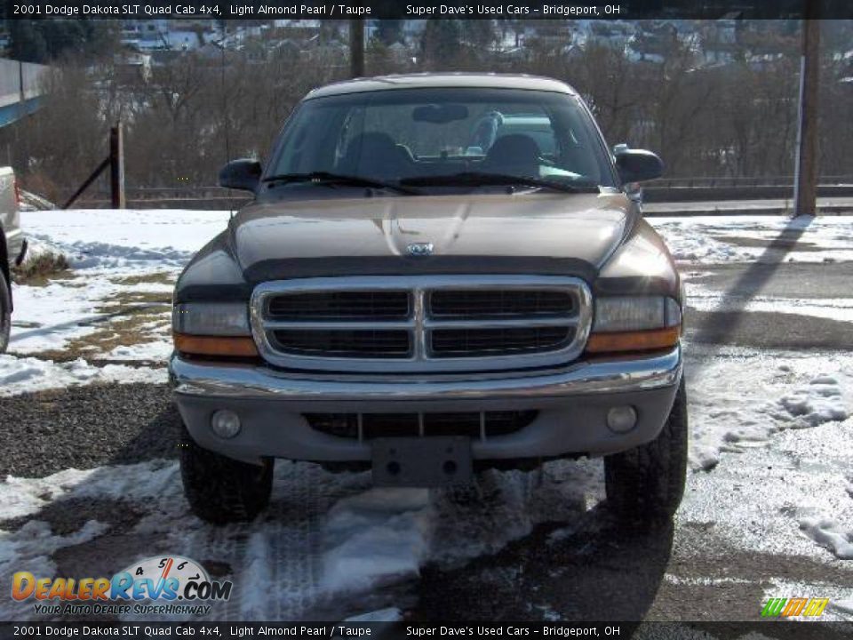 2001 Dodge Dakota SLT Quad Cab 4x4 Light Almond Pearl / Taupe Photo #7