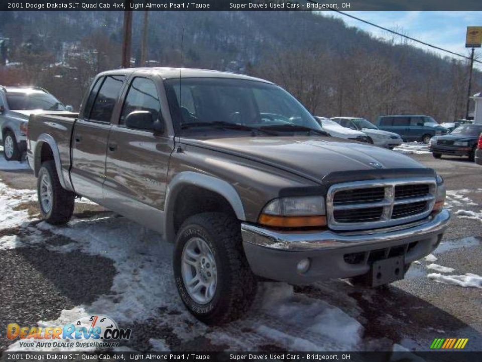 2001 Dodge Dakota SLT Quad Cab 4x4 Light Almond Pearl / Taupe Photo #8