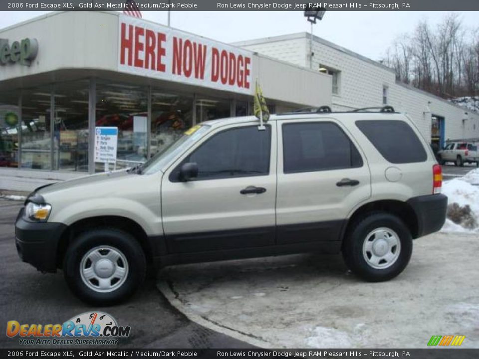 2006 Ford Escape XLS Gold Ash Metallic / Medium/Dark Pebble Photo #1