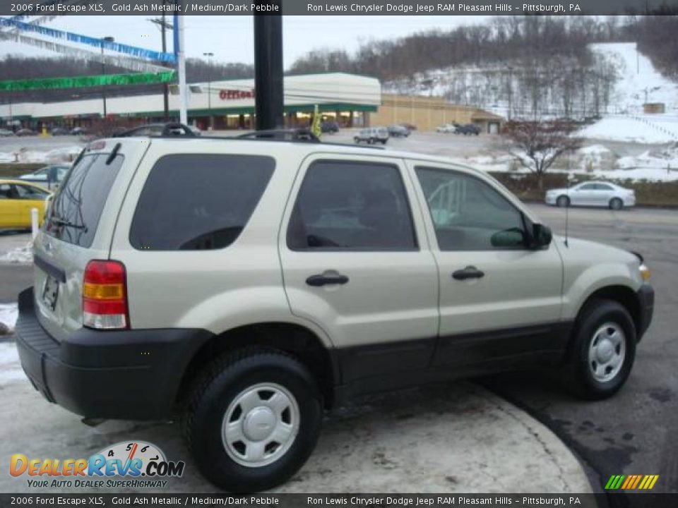 2006 Ford Escape XLS Gold Ash Metallic / Medium/Dark Pebble Photo #4