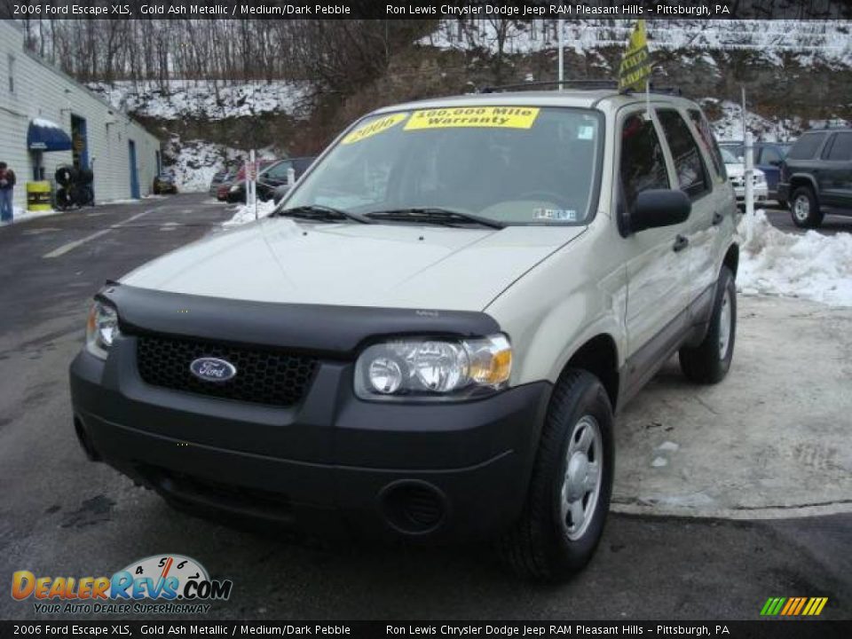 2006 Ford Escape XLS Gold Ash Metallic / Medium/Dark Pebble Photo #8