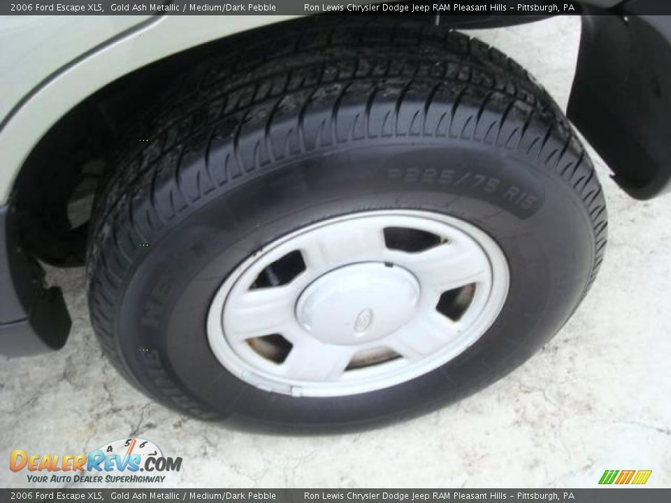 2006 Ford Escape XLS Gold Ash Metallic / Medium/Dark Pebble Photo #10