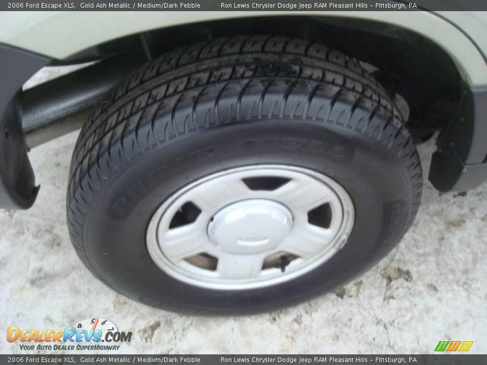 2006 Ford Escape XLS Gold Ash Metallic / Medium/Dark Pebble Photo #11