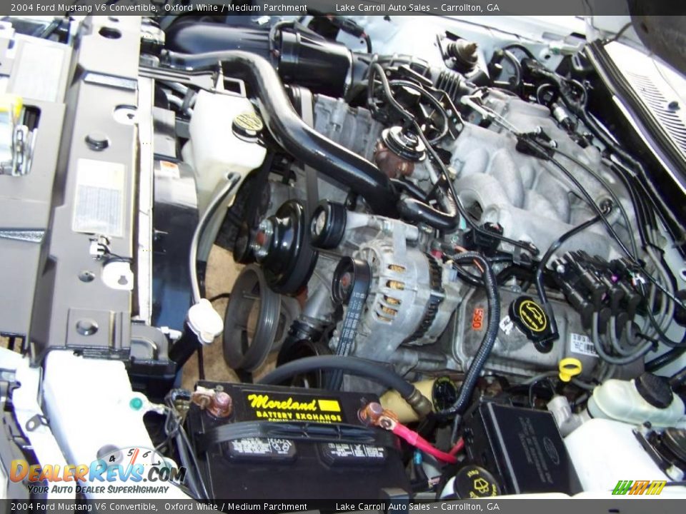 2004 Ford Mustang V6 Convertible Oxford White / Medium Parchment Photo #26