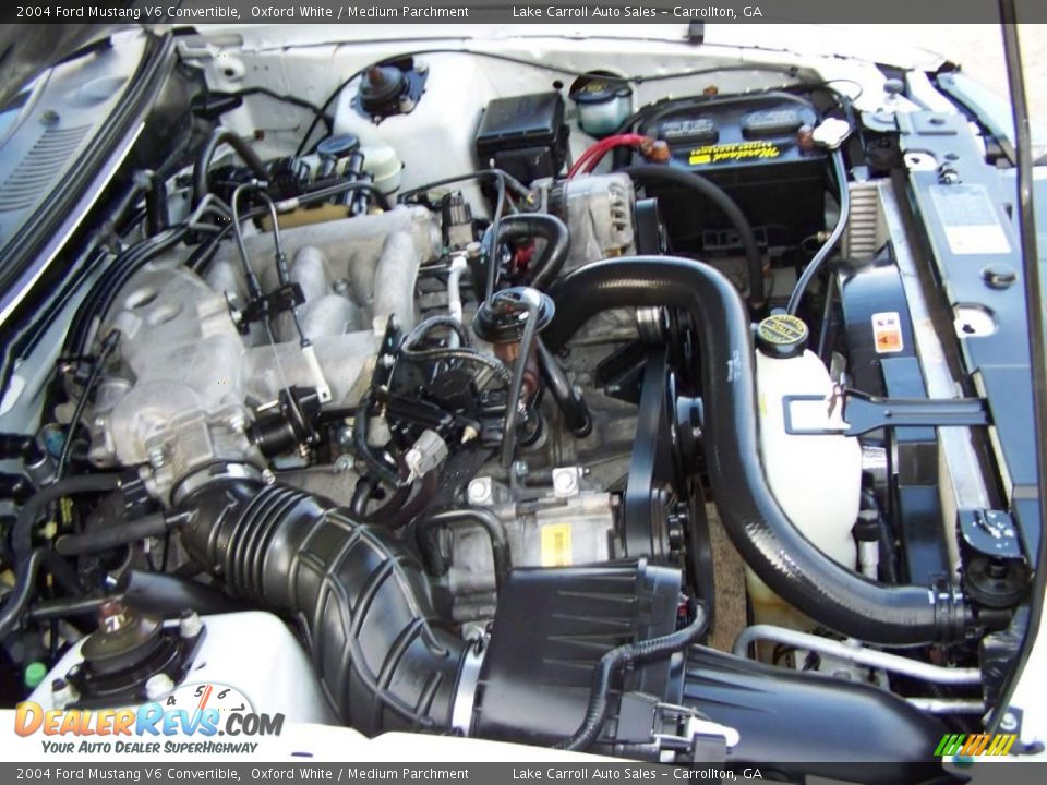 2004 Ford Mustang V6 Convertible Oxford White / Medium Parchment Photo #27