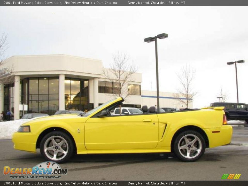 2001 Ford Mustang Cobra Convertible Zinc Yellow Metallic / Dark Charcoal Photo #1