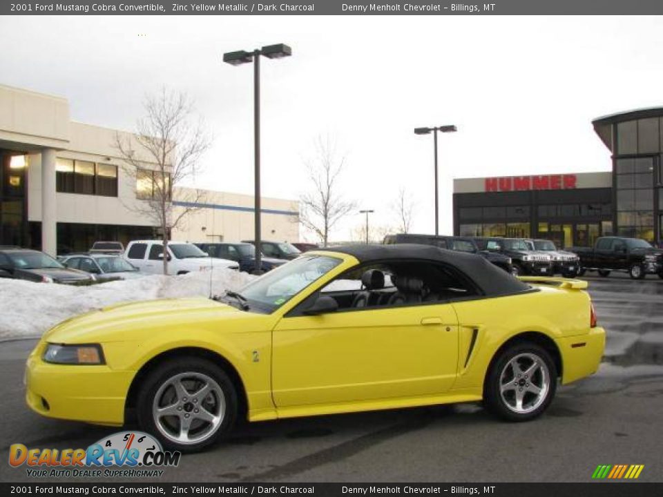 2001 Ford Mustang Cobra Convertible Zinc Yellow Metallic / Dark Charcoal Photo #2