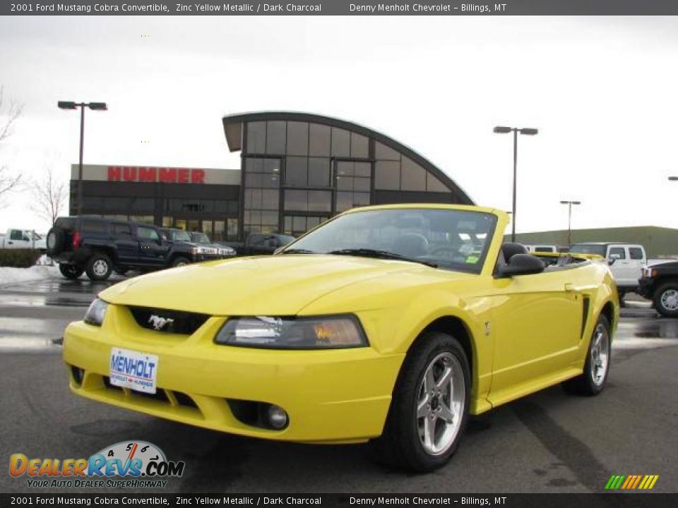 2001 Ford Mustang Cobra Convertible Zinc Yellow Metallic / Dark Charcoal Photo #3