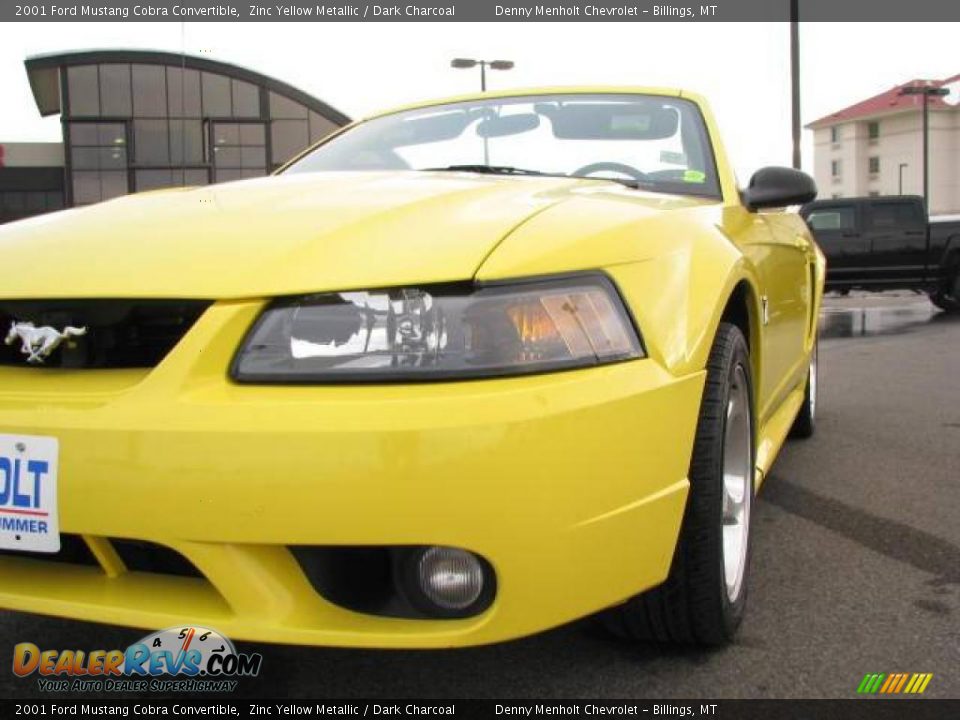 2001 Ford Mustang Cobra Convertible Zinc Yellow Metallic / Dark Charcoal Photo #4