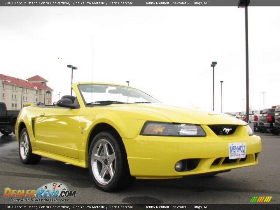 2001 Ford Mustang Cobra Convertible Zinc Yellow Metallic / Dark Charcoal Photo #5