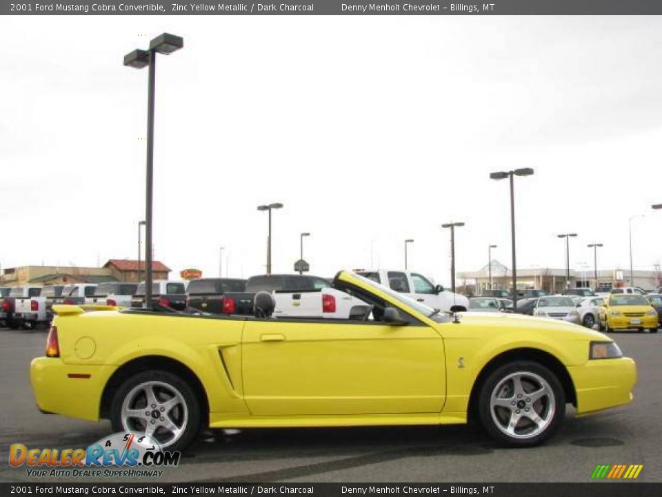 2001 Ford Mustang Cobra Convertible Zinc Yellow Metallic / Dark Charcoal Photo #6