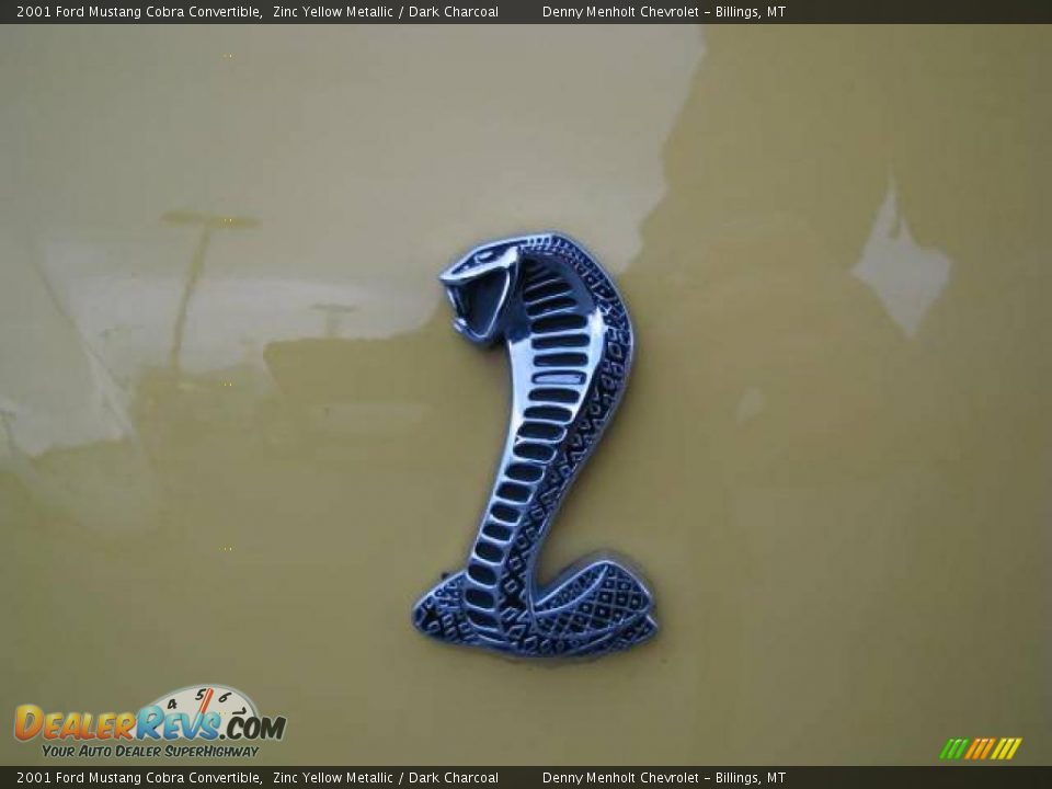 2001 Ford Mustang Cobra Convertible Zinc Yellow Metallic / Dark Charcoal Photo #11