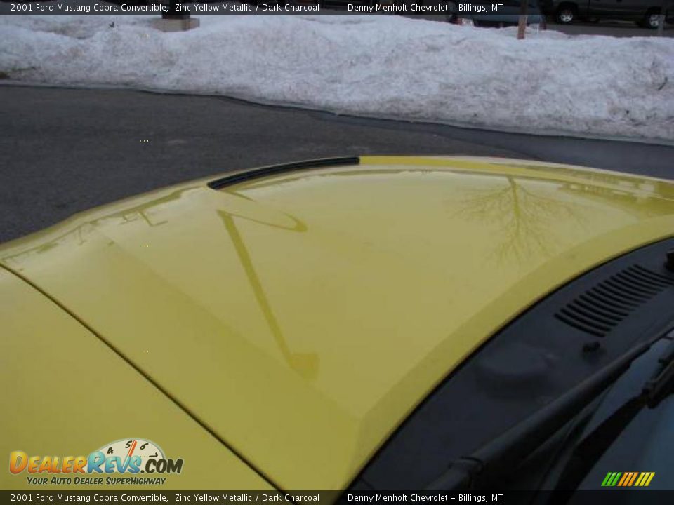 2001 Ford Mustang Cobra Convertible Zinc Yellow Metallic / Dark Charcoal Photo #12