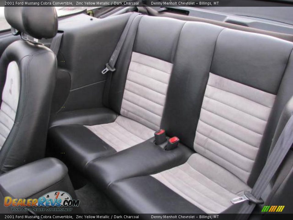 2001 Ford Mustang Cobra Convertible Zinc Yellow Metallic / Dark Charcoal Photo #14