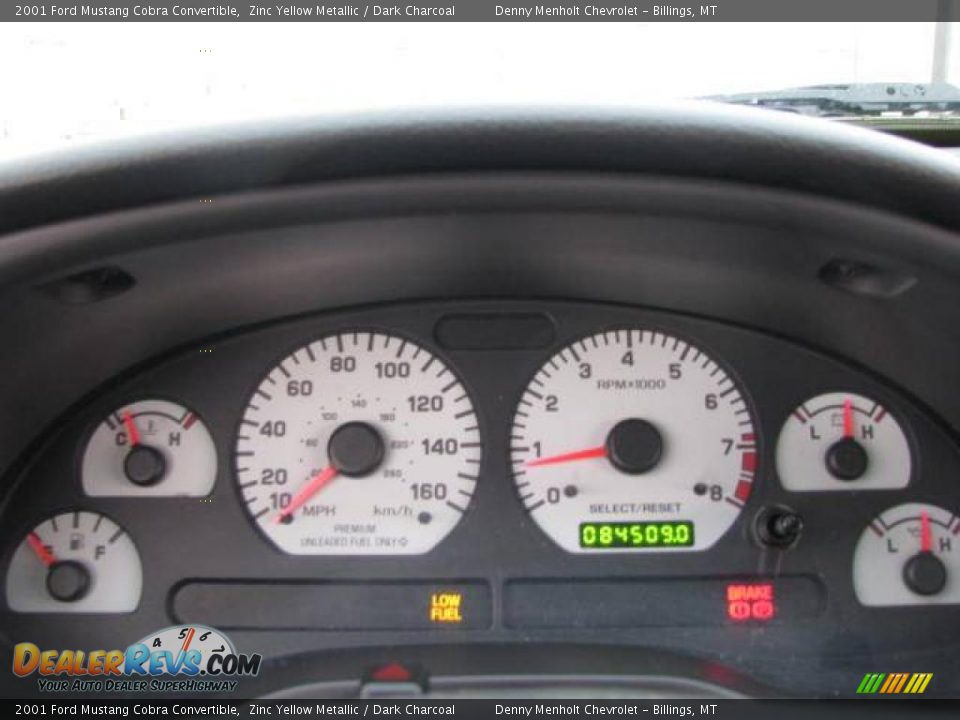 2001 Ford Mustang Cobra Convertible Zinc Yellow Metallic / Dark Charcoal Photo #20