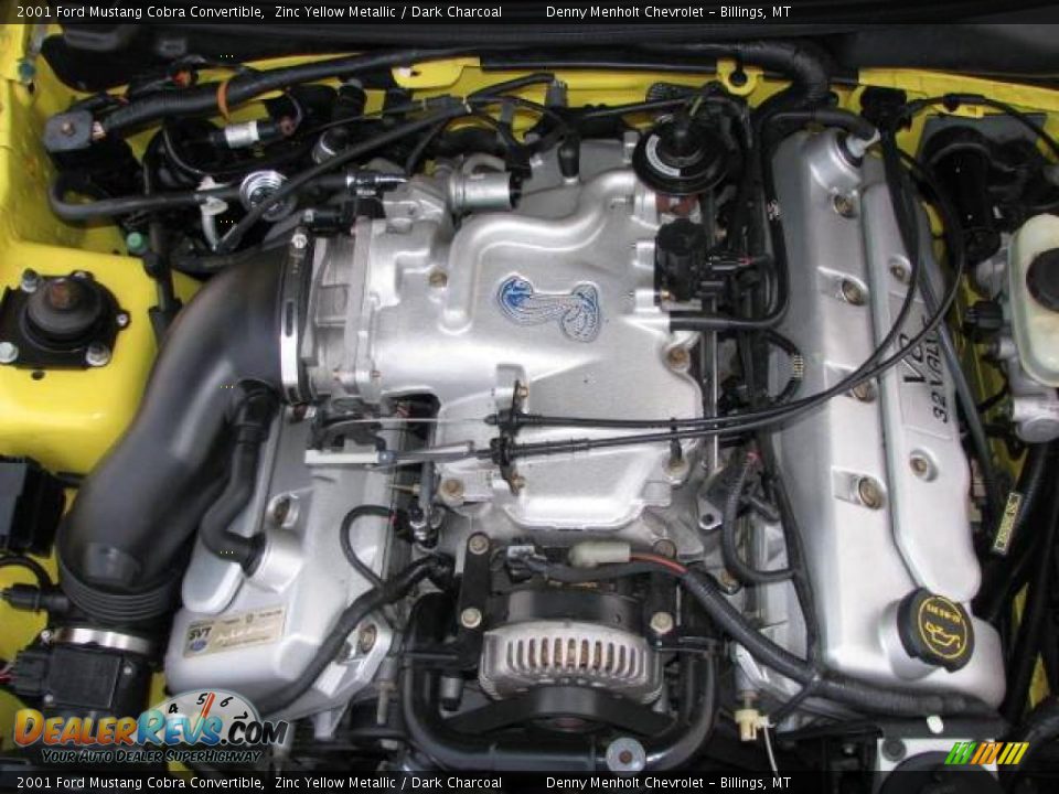 2001 Ford Mustang Cobra Convertible Zinc Yellow Metallic / Dark Charcoal Photo #21