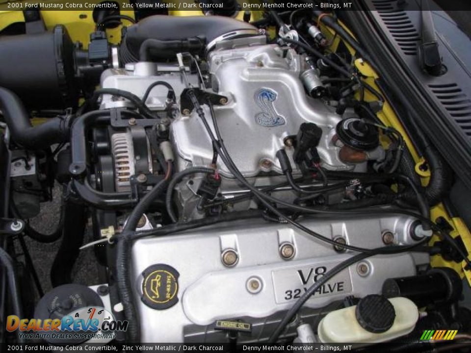 2001 Ford Mustang Cobra Convertible Zinc Yellow Metallic / Dark Charcoal Photo #22